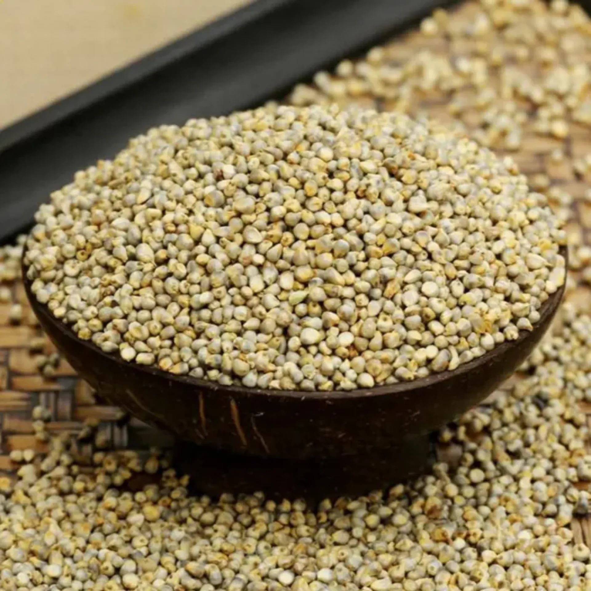 [31429] Schani Bajra Seeds (Pearl Millet) 400 g